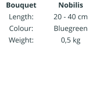 Bouquet Length: Colour: Weight:    Nobilis 20 - 40 cm Bluegreen 0,5 kg